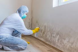 Best Emergency Mold Remediation  in Sausalito, CA