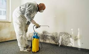 Best Mold Odor Removal Services  in Sausalito, CA