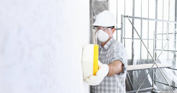 Professional Mold Removal Services in Sausalito, CA